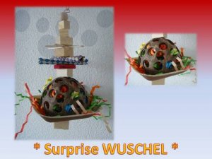 Surprise Wuschel - Kopie.jpg