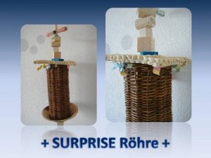 Surprise Röhre - Kopie.jpg